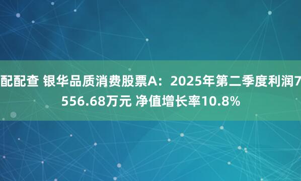 配配查 银华品质消费股票A：2025年第二季度利润7556.68万元 净值增长率10.8%